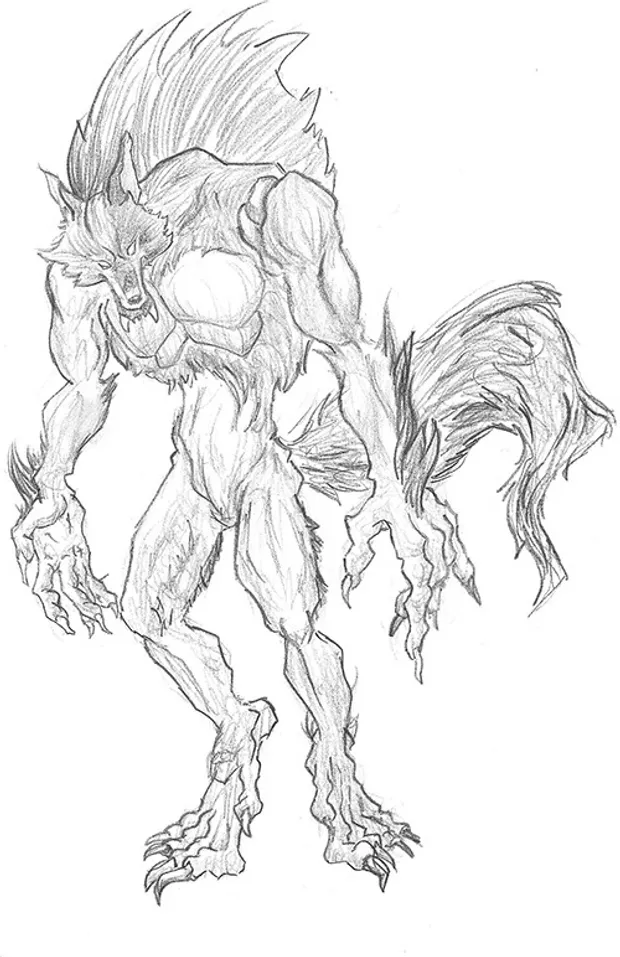 Werewolf Study - Fan Copy