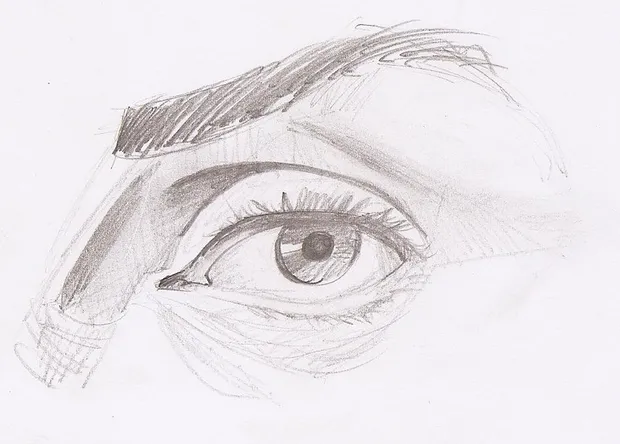 Eye, nose and mouth studies