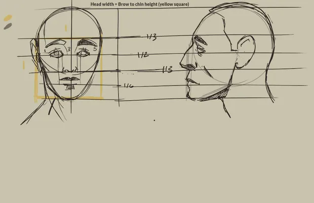 Portrait Study - Facial Proportions Practice
