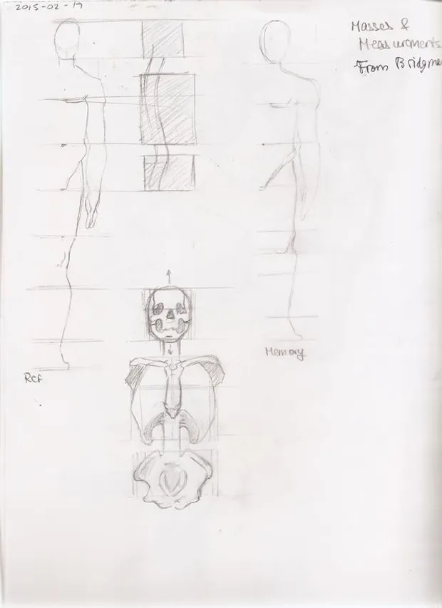 Bridgman anatomy studies. Feels good to be here