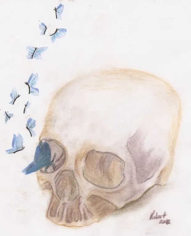 Skull with Butterflies, charcoal & colored pencils