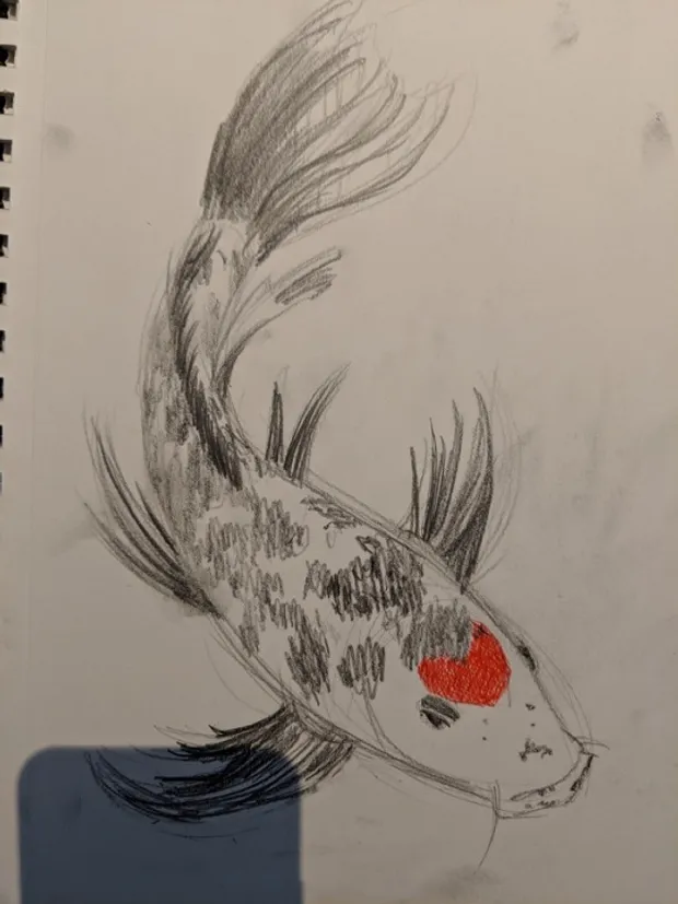 Koi Fish Sketch