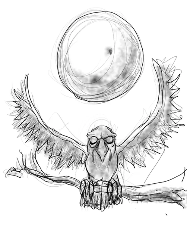 An owl in the night.