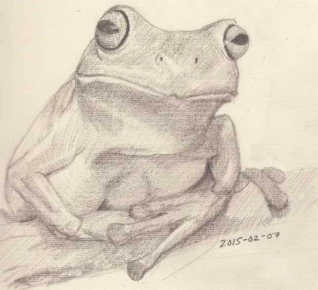 Studies only tonight!